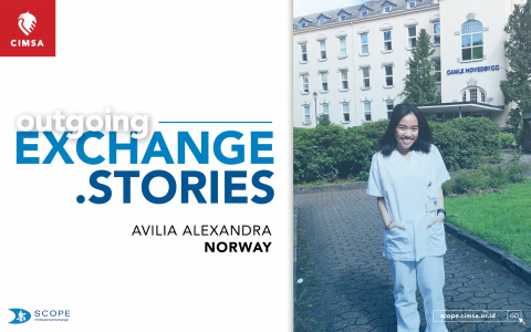 Outgoing Stories: Norway, Neurology, and Memories Within